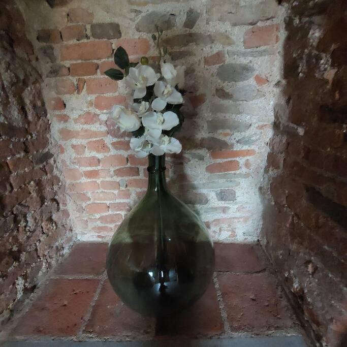 Istanti - Rosmarino Apartman Costigliole Saluzzo Kültér fotó